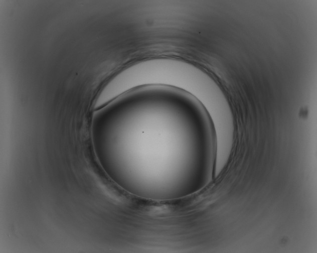 X0000093090411200710101521