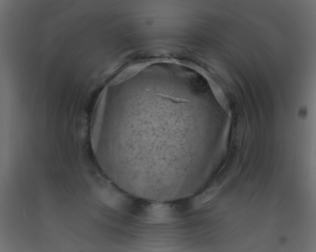 X0000093090413200710101521