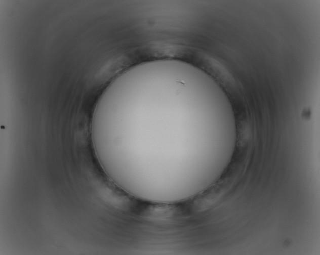 X0000093090414200710101521