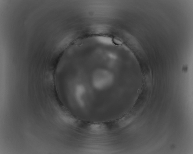 X0000093090415200710101521