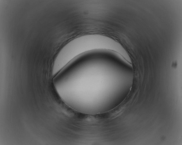 X0000093090416200710101521