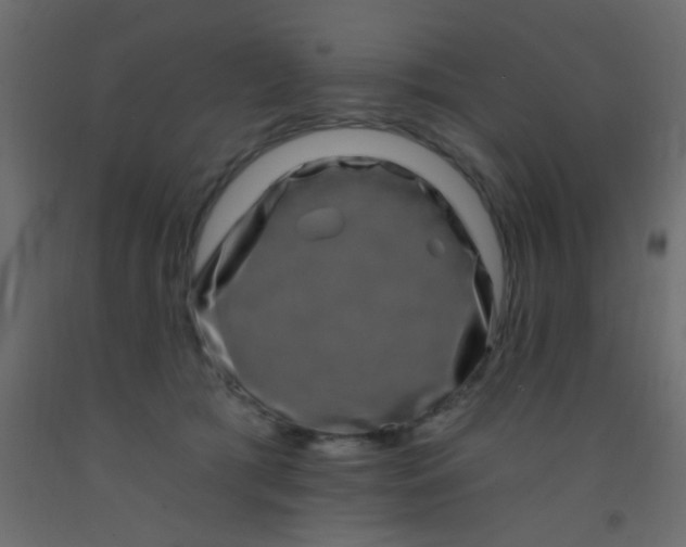 X0000093090417200710101521