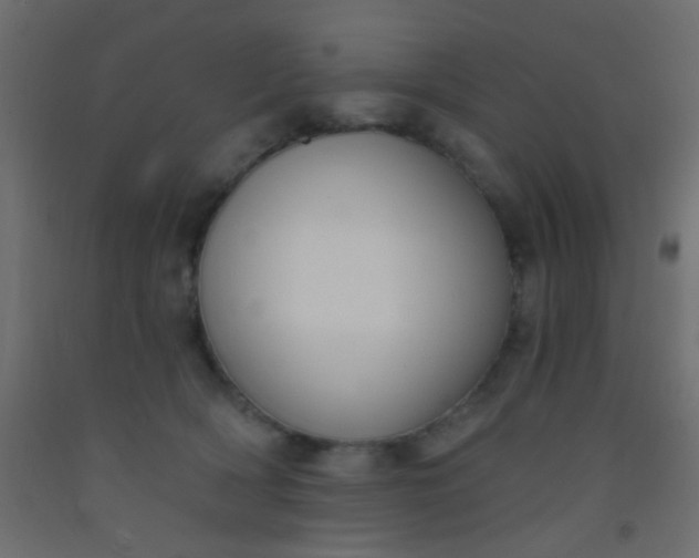 X0000093090418200710101521