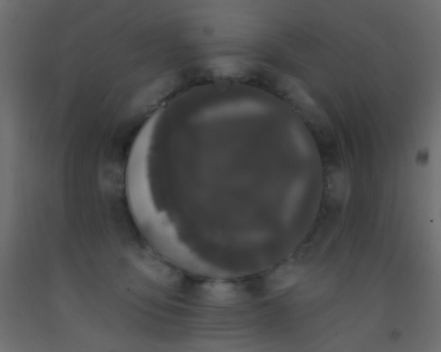 X0000093090419200710101521