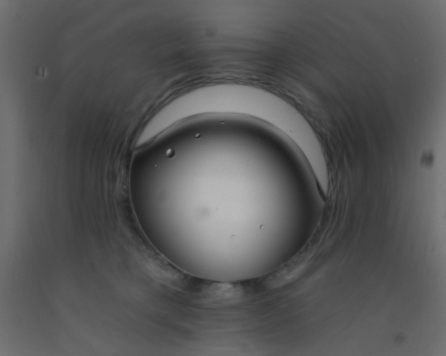 X0000093090421200710101521