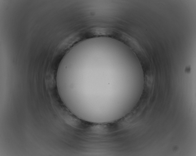 X0000093090422200710101521