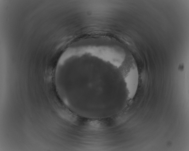 X0000093090423200710101521