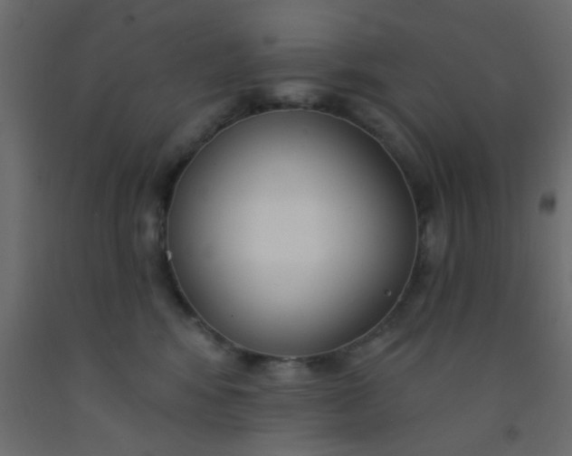 X0000093090424200710101521