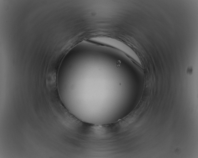 X0000093090425200710101521