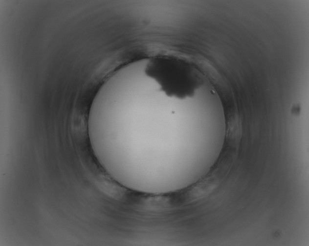 X0000093090426200710101521