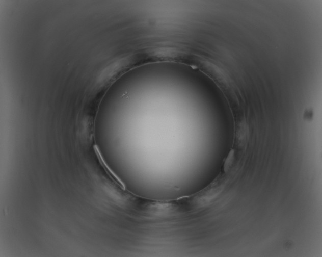 X0000093090428200710101521