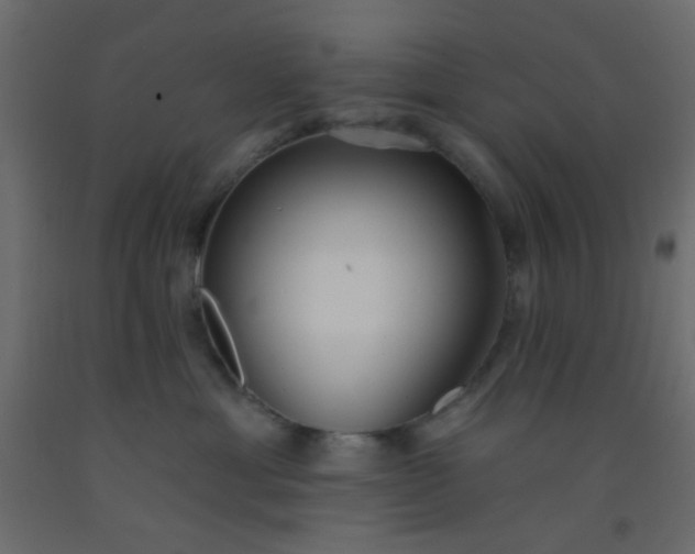 X0000093090429200710101521