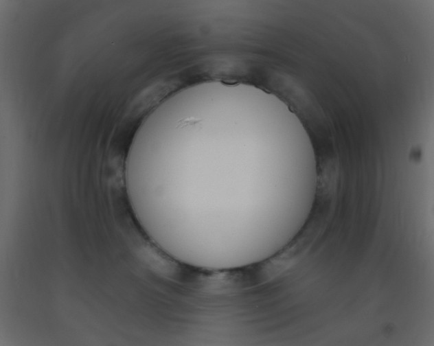 X0000093090430200710101521