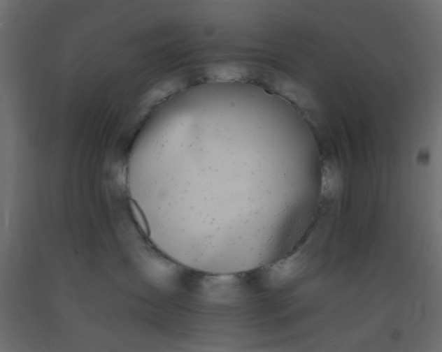 X0000093090431200710101521