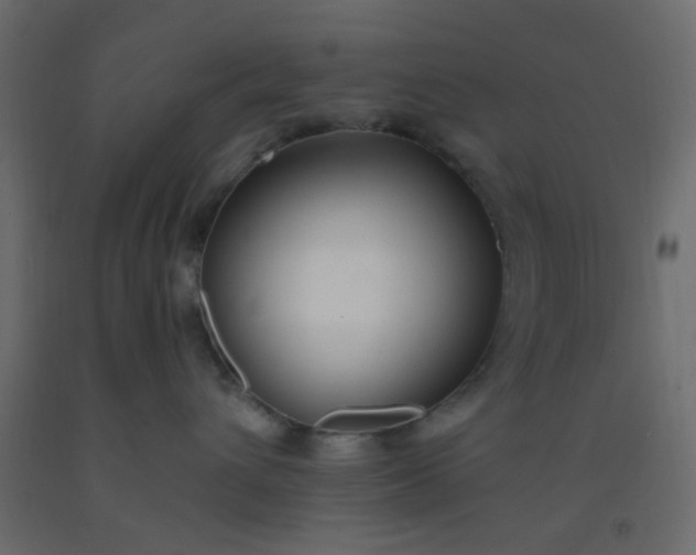 X0000093090432200710101521