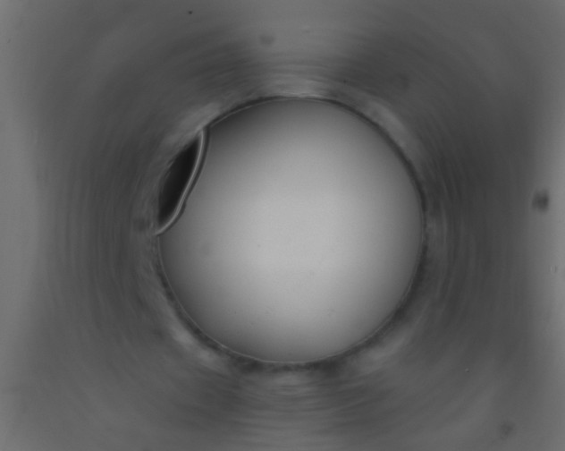 X0000093090433200710101520