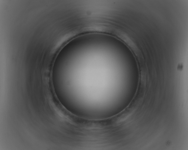 X0000093090434200710101520