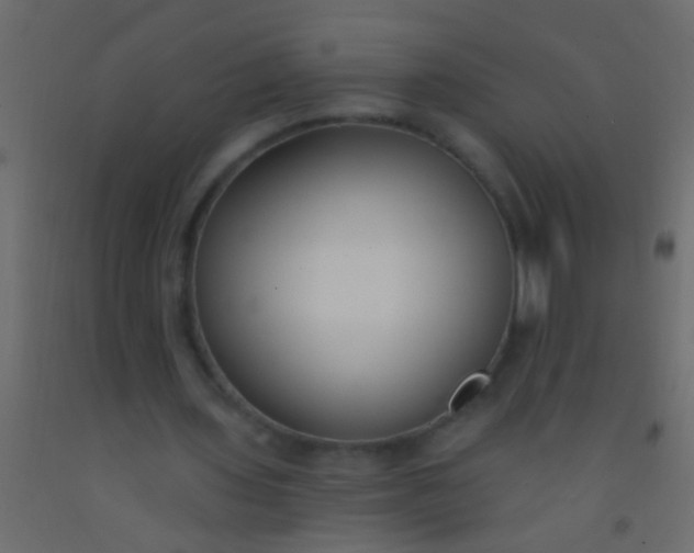 X0000093090435200710101520