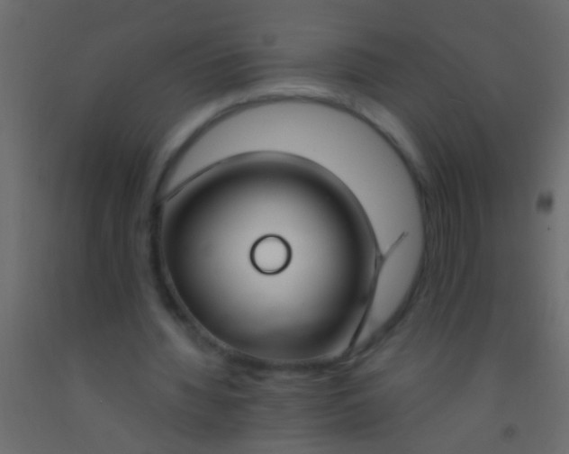 X0000093090436200710101520