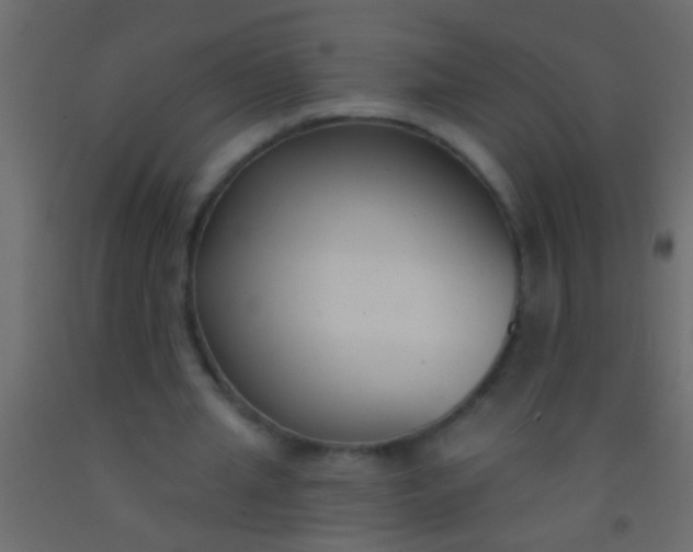 X0000093090437200710101520