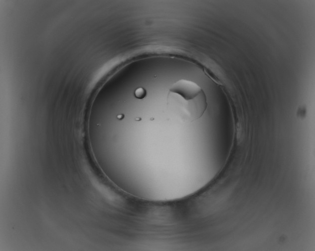 X0000093090438200710101520