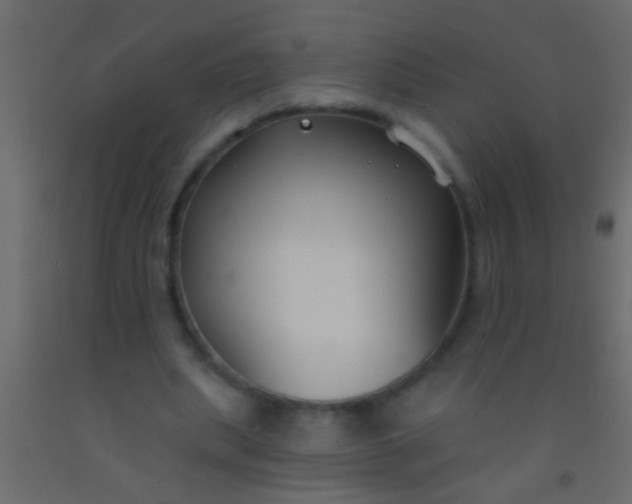 X0000093090439200710101520