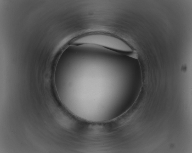 X0000093090440200710101520