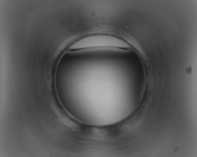 X0000093090442200710101520