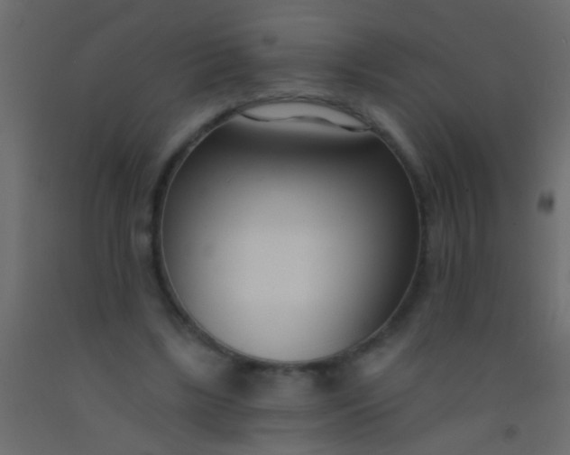 X0000093090443200710101520