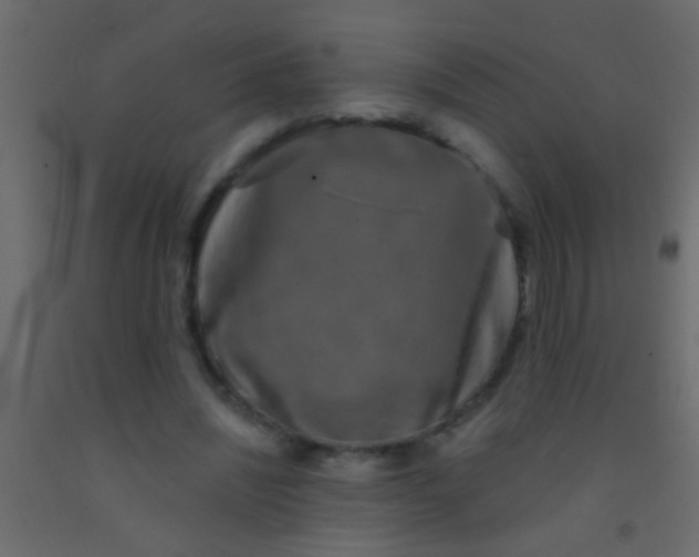 X0000093090444200710101520