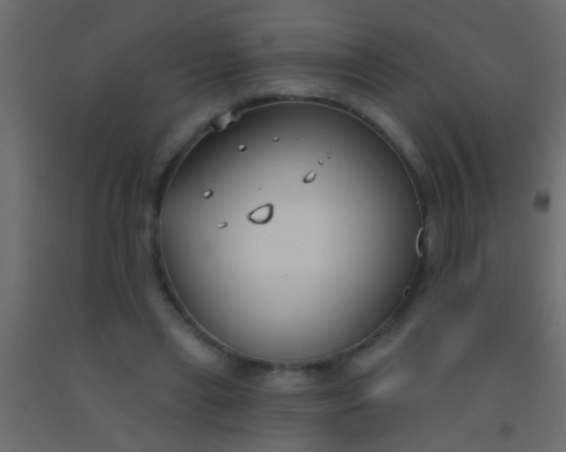 X0000093090445200710101520