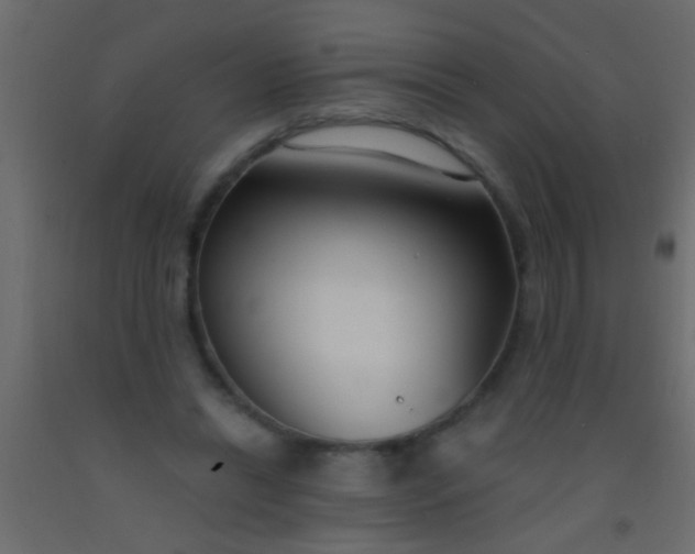 X0000093090446200710101520