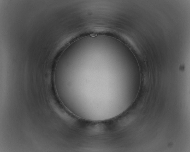 X0000093090447200710101520