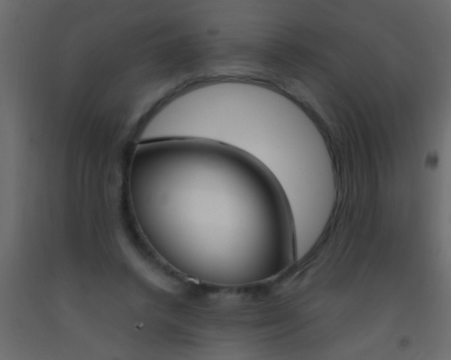 X0000093090448200710101520