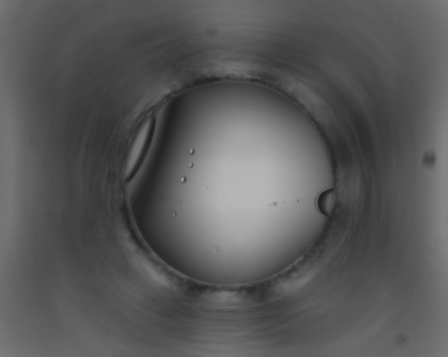 X0000093090449200710101520