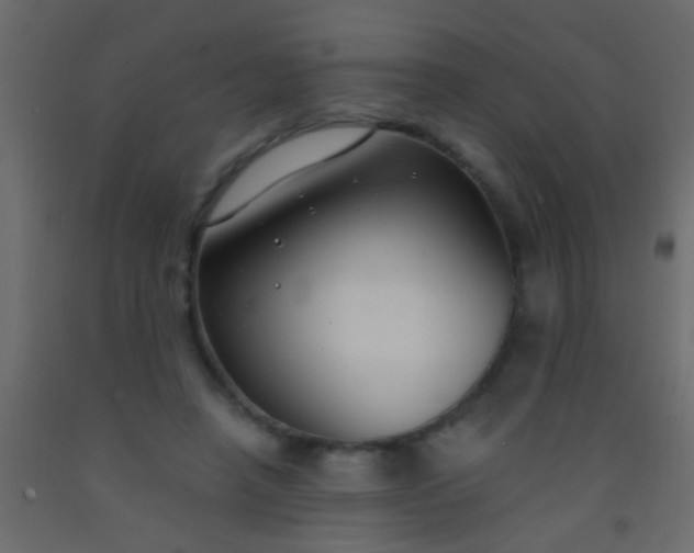 X0000093090450200710101520