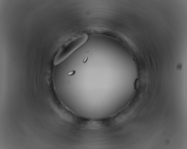 X0000093090451200710101520