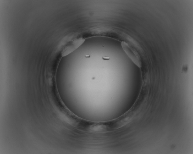 X0000093090452200710101520