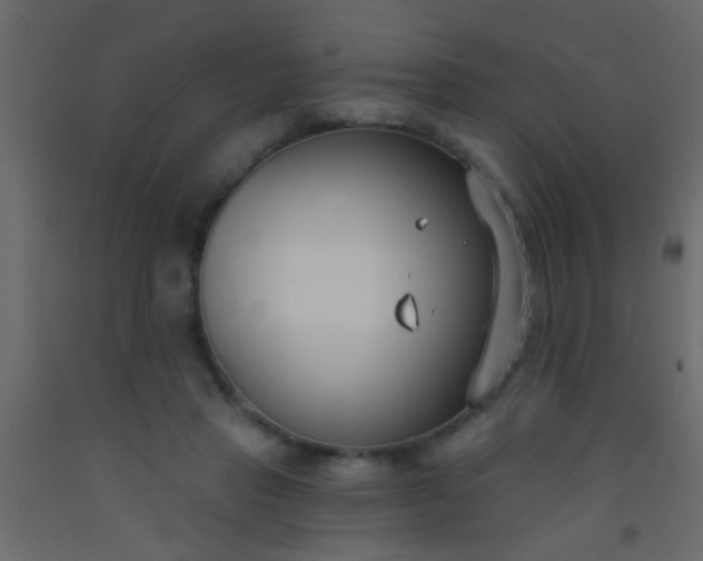 X0000093090453200710101521