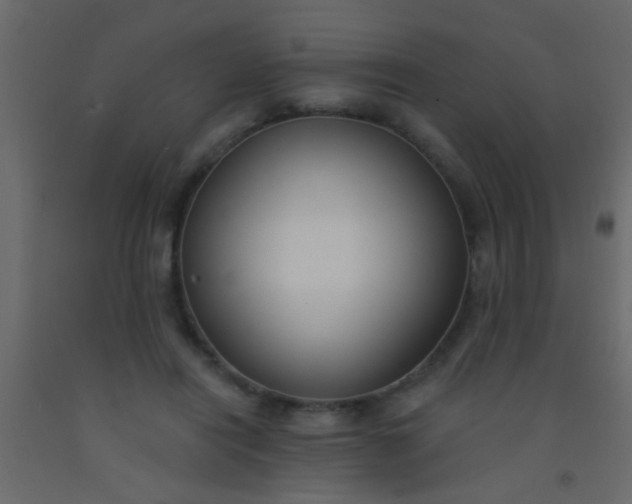 X0000093090454200710101521