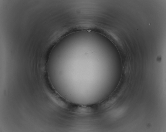 X0000093090455200710101521