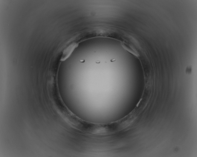 X0000093090456200710101521