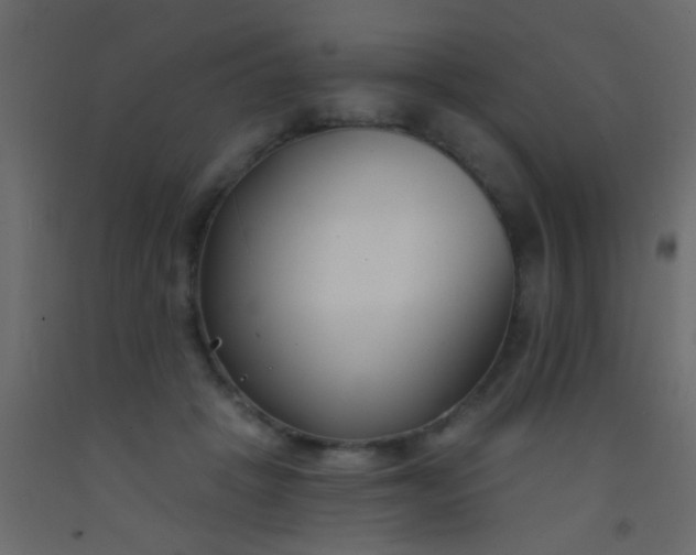 X0000093090457200710101521