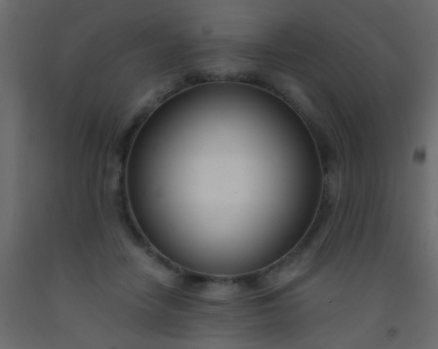 X0000093090458200710101521