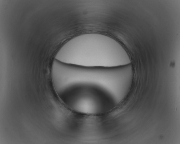 X0000093090459200710101521