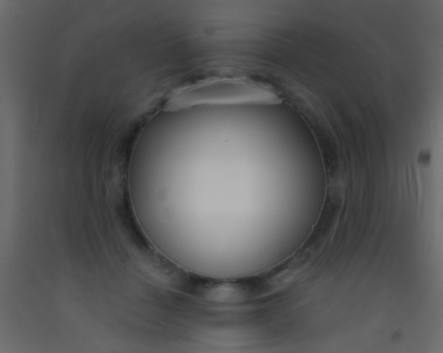 X0000093090460200710101521