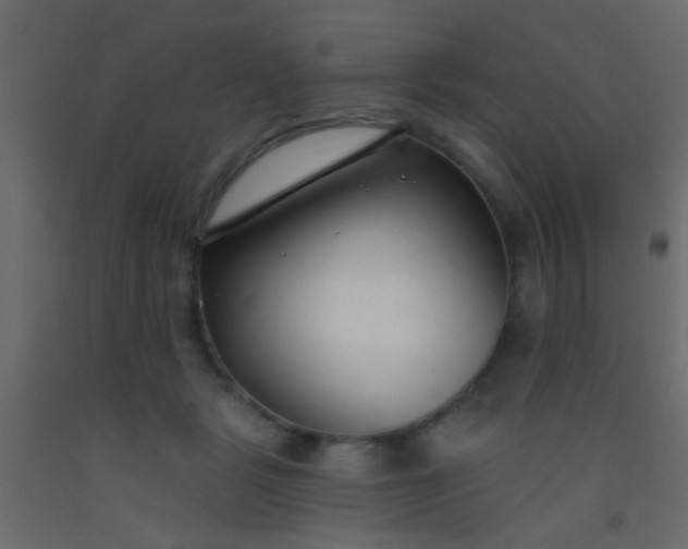 X0000093090461200710101521