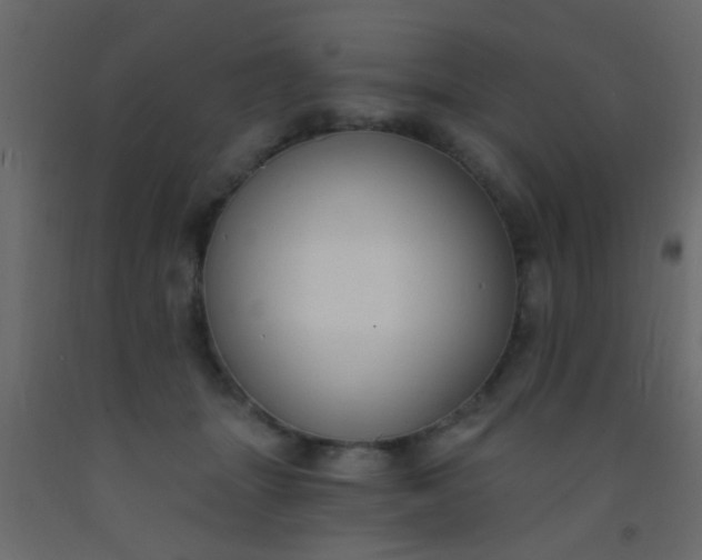 X0000093090463200710101521