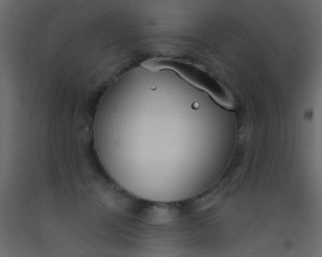 X0000093090464200710101521