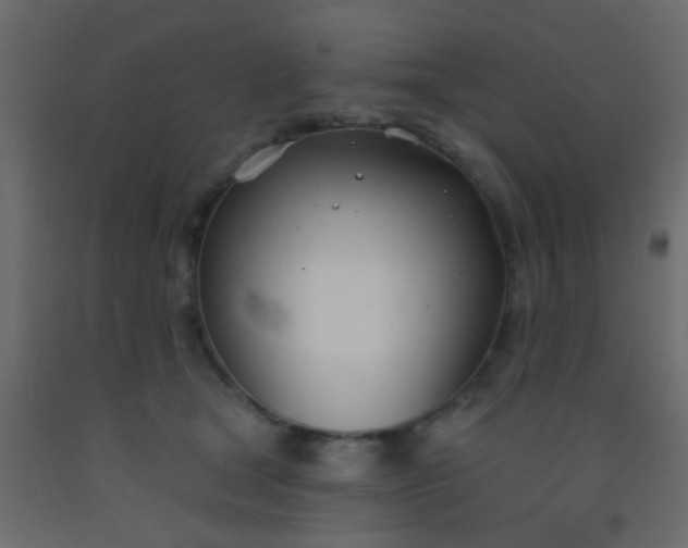 X0000093090465200710101521